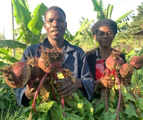 Farmers in Malawi 